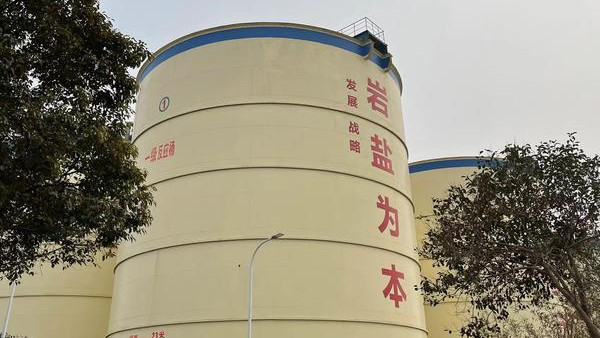 奮進新征程 建功新時代丨天然氣的“家”是什么樣？國內