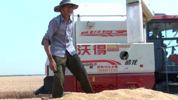 河南麥收新圖景丨保證小麥顆粒歸倉，舞陽提供暖心服務