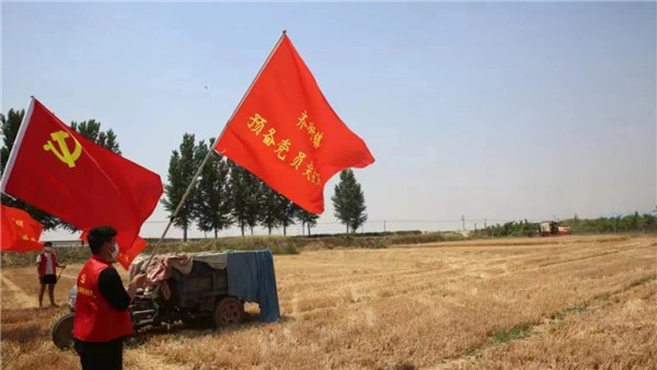  河南麥收新圖景丨金色麥浪里的一抹紅，原陽600余名黨員