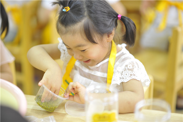 芽狀元天然豆芽李銀州：小豆芽的“中國夢”